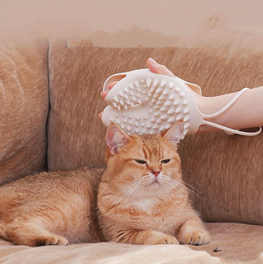 2 in 1 Pet Hair Glove