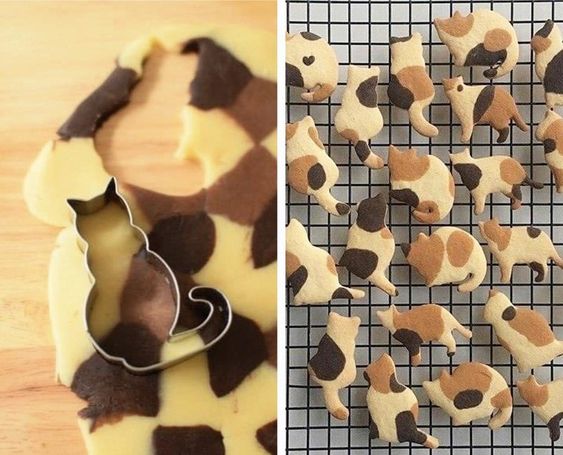 9Lives Cookie Mould - 5 shapes