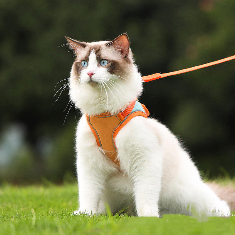 9Lives' Cat Harness & Leash