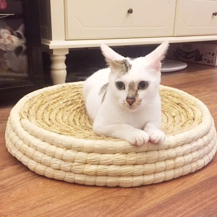 Cat Scratching Bed