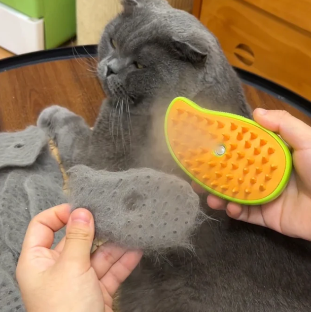 FelineGrip Pro 2 - Steamy Brush