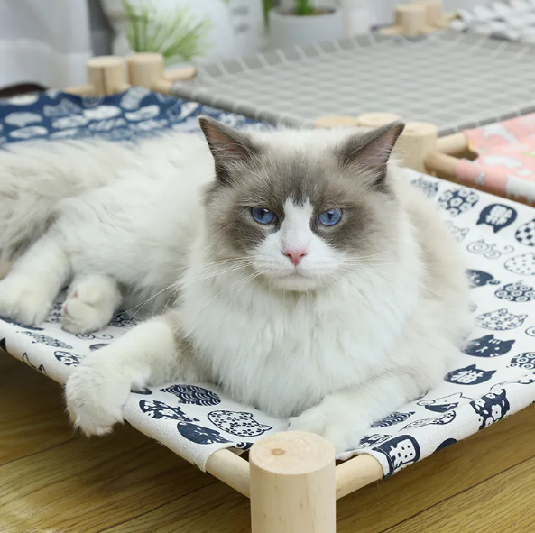 Hammock Bed