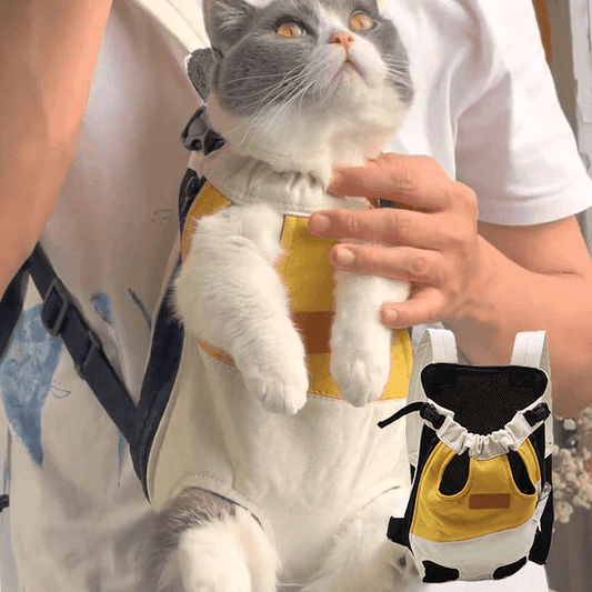 Backpack Carrier For Cats