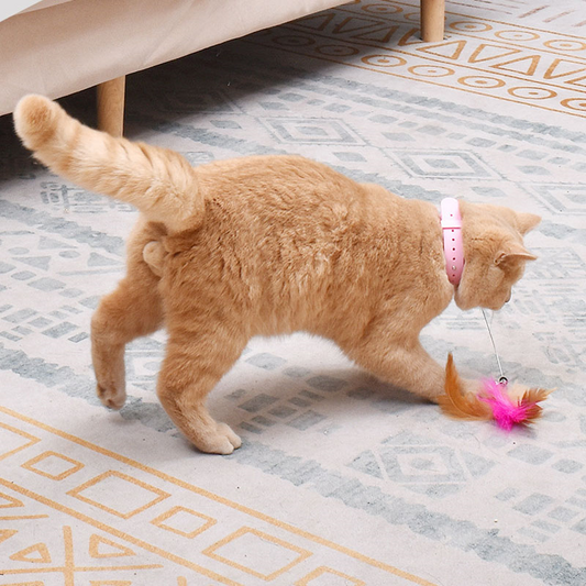PurrfectPlay Interactive Cat Collar Toy