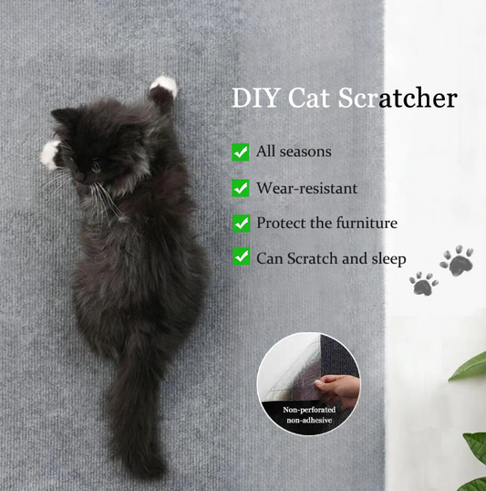 Paws & Patch: Adhesive Cat Scratcher
