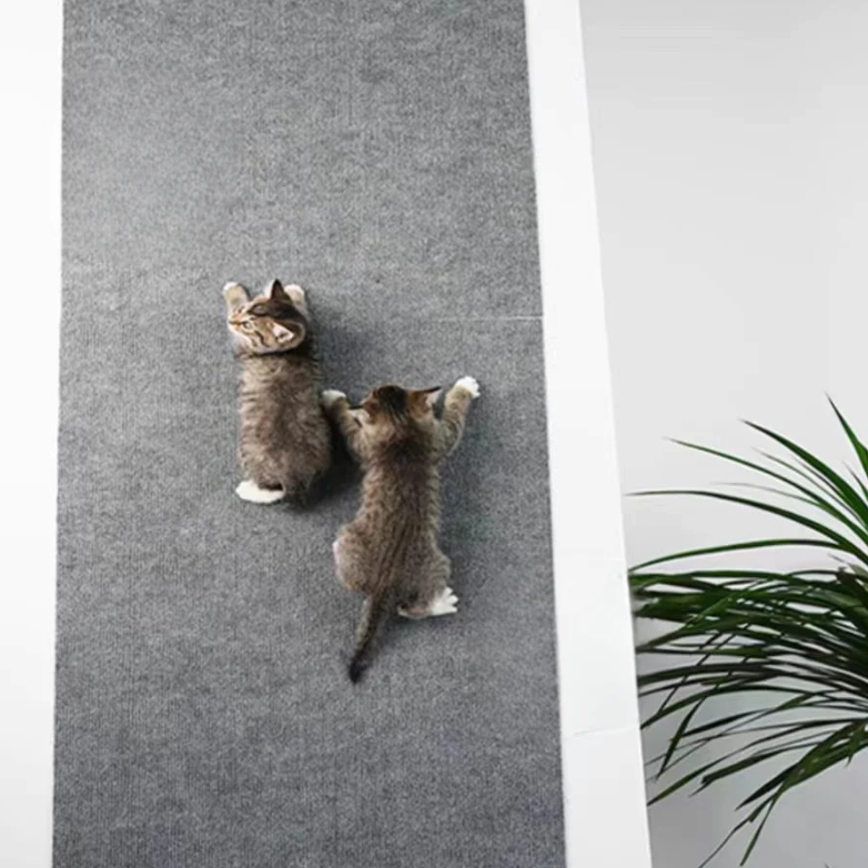 Paws & Patch: Adhesive Cat Scratcher