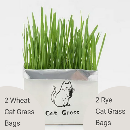 9Lives' Cat Grass Kit